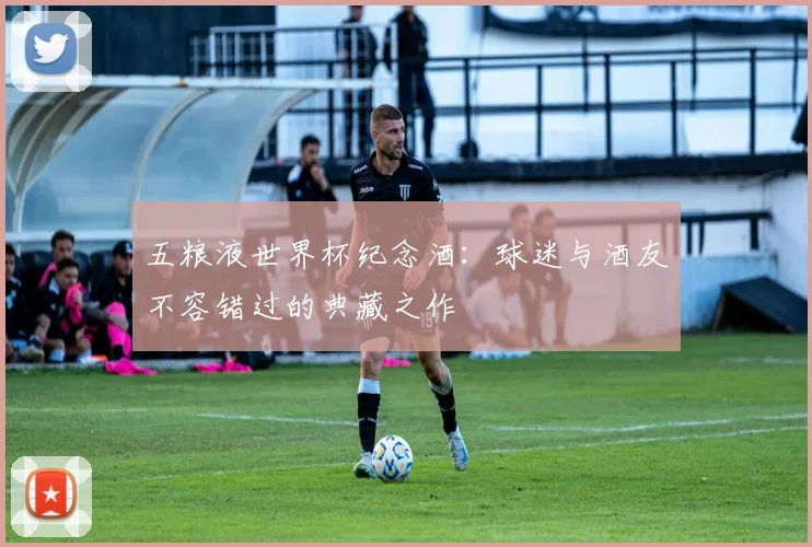五粮液世界杯纪念酒：球迷与酒友不容错过的典藏之作